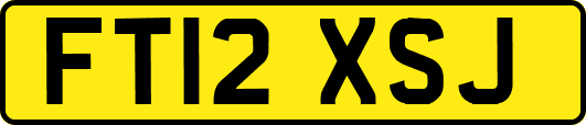 FT12XSJ