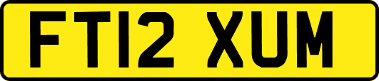 FT12XUM