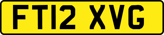 FT12XVG