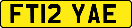 FT12YAE
