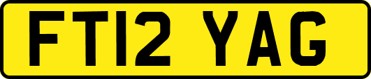FT12YAG
