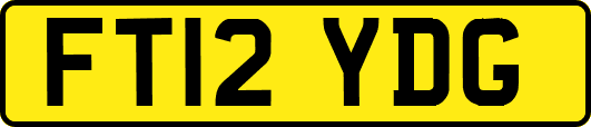 FT12YDG
