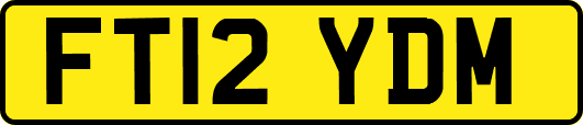 FT12YDM