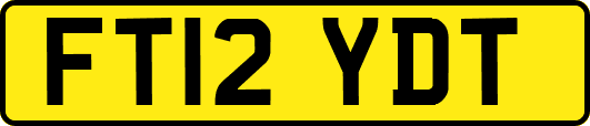 FT12YDT