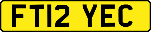 FT12YEC