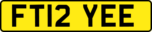 FT12YEE