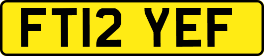 FT12YEF