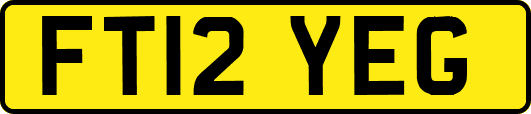 FT12YEG