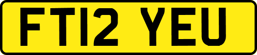 FT12YEU