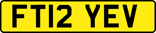 FT12YEV