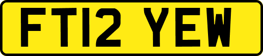 FT12YEW