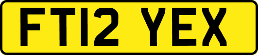 FT12YEX