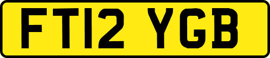 FT12YGB