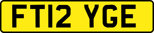 FT12YGE