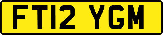 FT12YGM