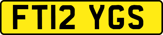 FT12YGS