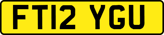 FT12YGU