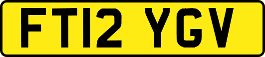 FT12YGV