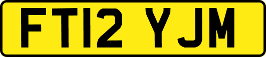 FT12YJM