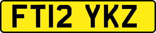 FT12YKZ