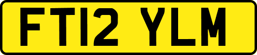 FT12YLM
