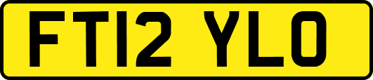 FT12YLO
