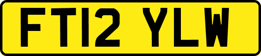 FT12YLW