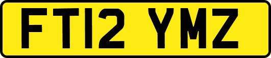 FT12YMZ