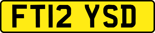 FT12YSD