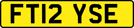 FT12YSE