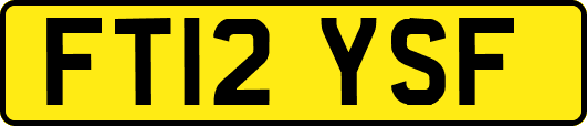 FT12YSF