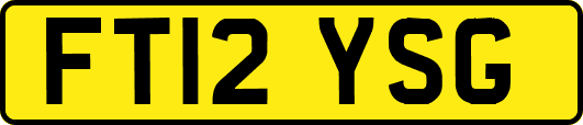 FT12YSG