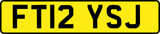 FT12YSJ