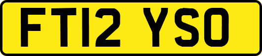 FT12YSO