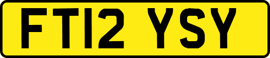 FT12YSY