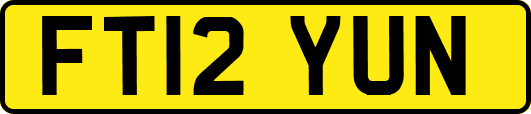 FT12YUN