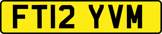 FT12YVM