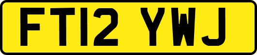 FT12YWJ