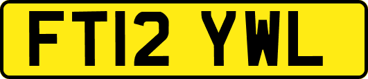 FT12YWL