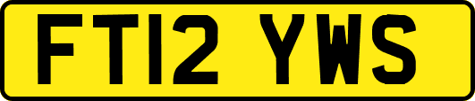 FT12YWS