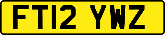 FT12YWZ