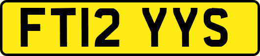 FT12YYS