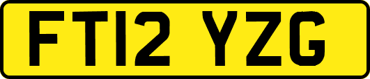 FT12YZG