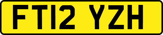FT12YZH