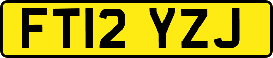 FT12YZJ