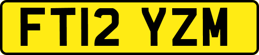 FT12YZM