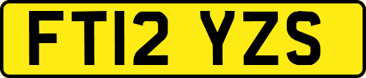 FT12YZS