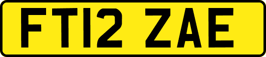 FT12ZAE