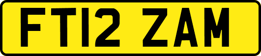FT12ZAM