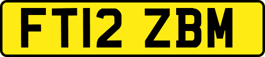 FT12ZBM